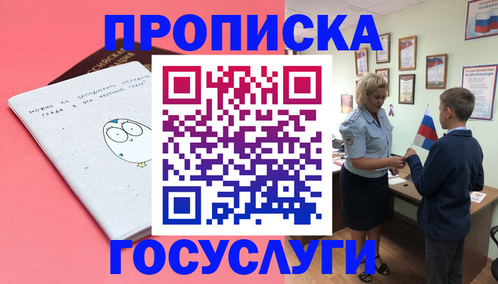 временная регистрация надежно в Сольцах